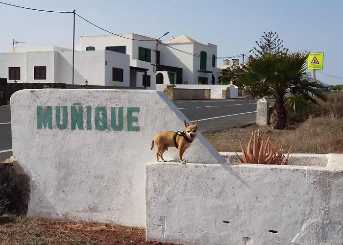 Casa Antonia Reyes, A La Sombra De Famara